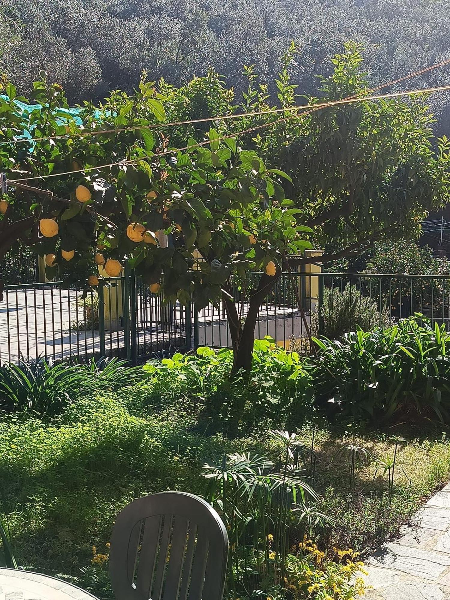 Chez Diego With Ac And Garden Monterosso al Mare Exterior photo